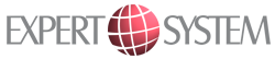 Expert System